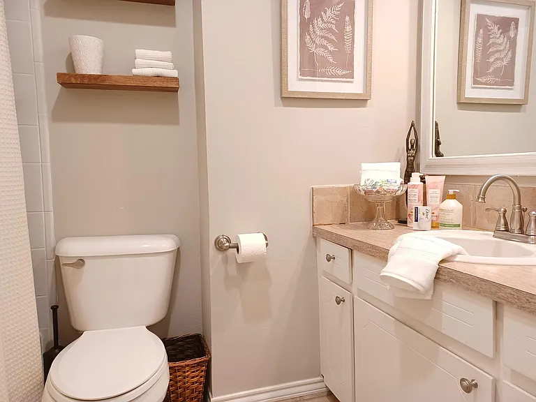 Main Bathroom, with Tub and Shower.