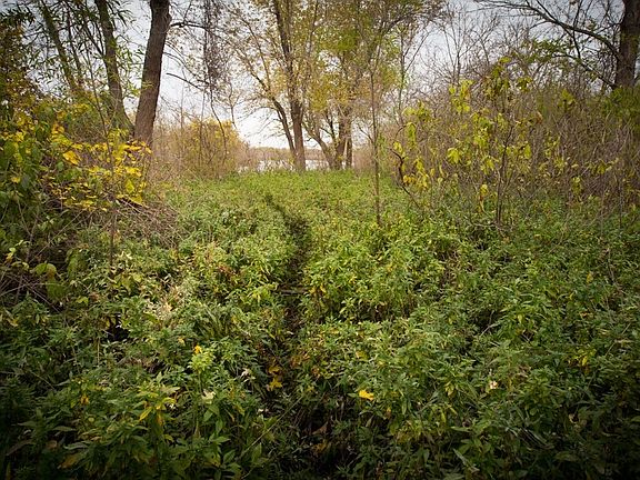5th image of Illinois River