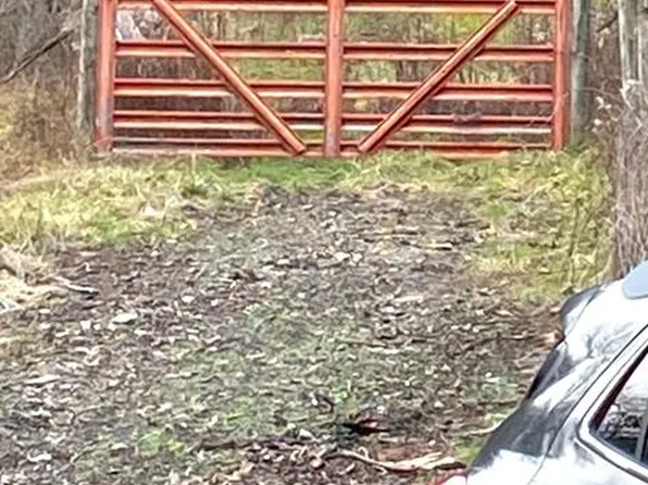 .51 Acre Low Gap Run Road, Littleton, WV 26581