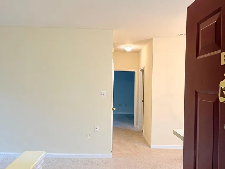 4137 Fountainside Ln #201 — Photo 3