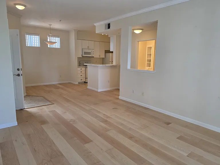 Living room/dining room/kitchen