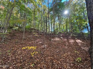Tbd Heaton Ridge Rd, Roan Mountain, TN 37687