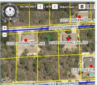 11238 Shivering Owl Ave, Weeki Wachee, FL, 34614