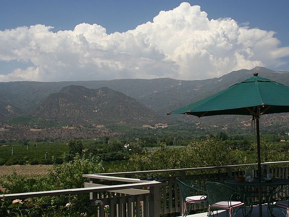Summer view from deck