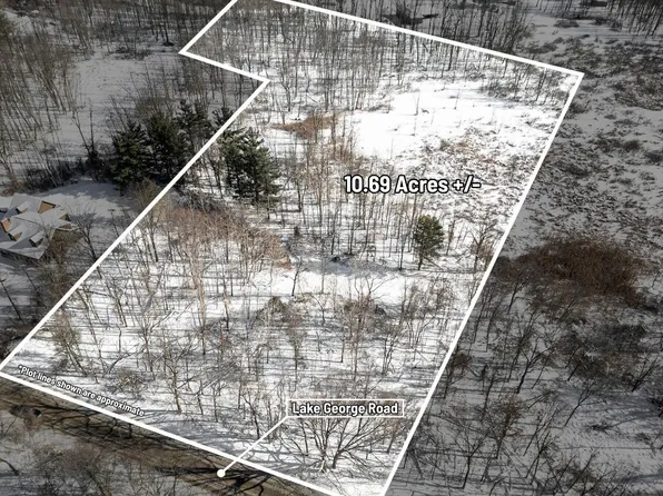 Lake George Rd, Leonard, MI 48367