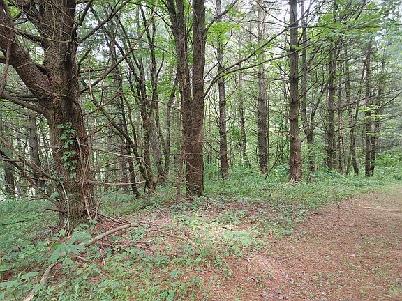3rd image of LOT 20 Smith Landing Ln
