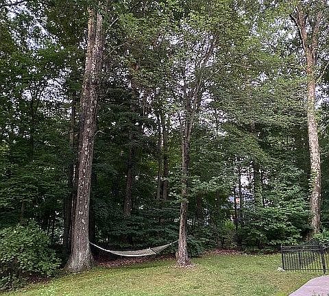 Side yard