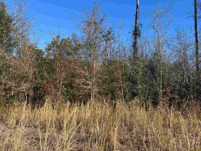 TBD W Highway 19, Loris, SC, 29569