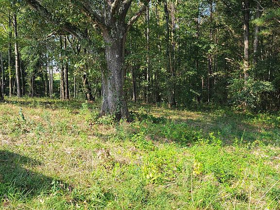 3rd image of 248 County Road 1439