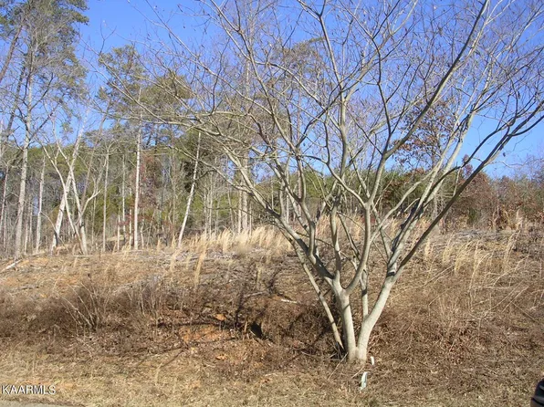 7665 Pennyroyal Dr, Knoxville, TN 37920