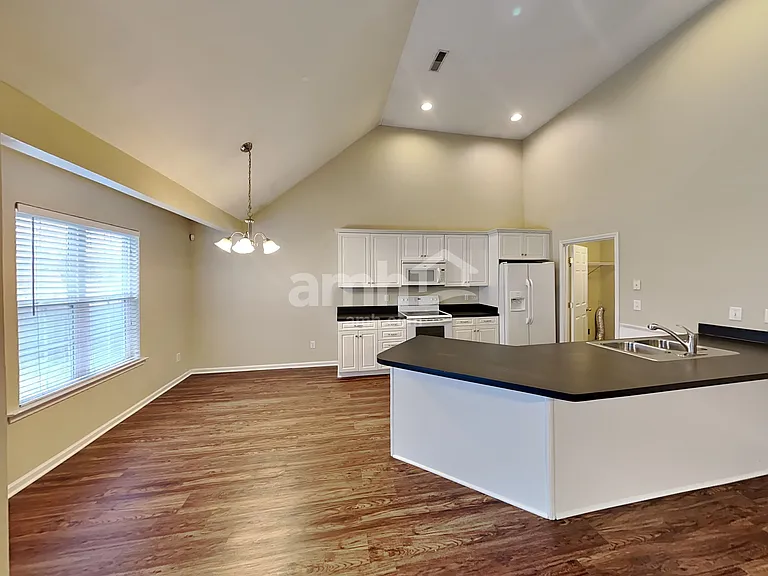 1005 Matheus Dr — Photo 7