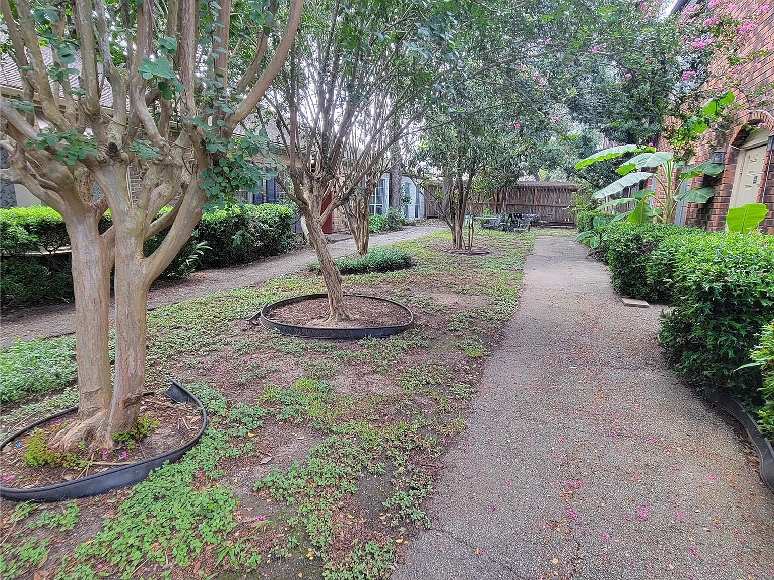 2 bed, 2.0 bath, 1036 sqft, $1,500 — Photo 2