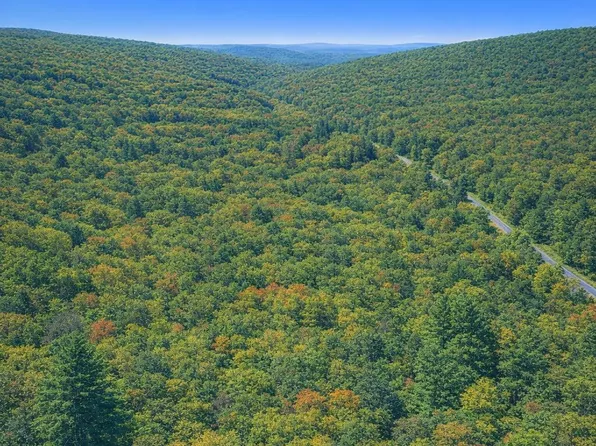LOT 170 Forest Ridge Trl, Fort Valley, VA 22652