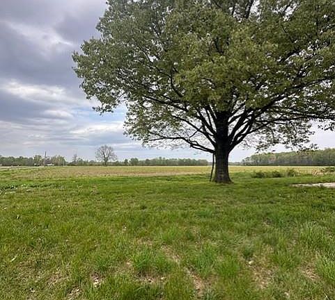 2nd image of 1464 County Road 309