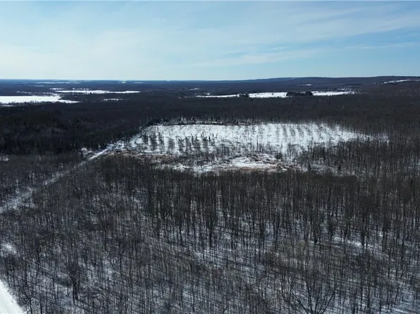 0000 County Rd H, Bruce, WI 54819