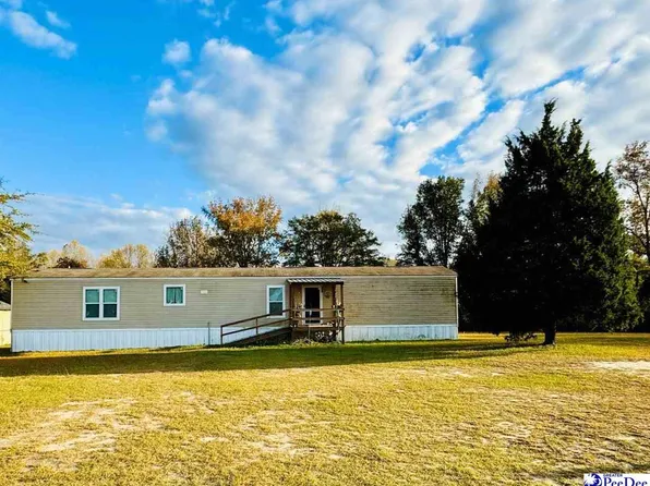 4137 Albert Ln, Wallace, SC 29596