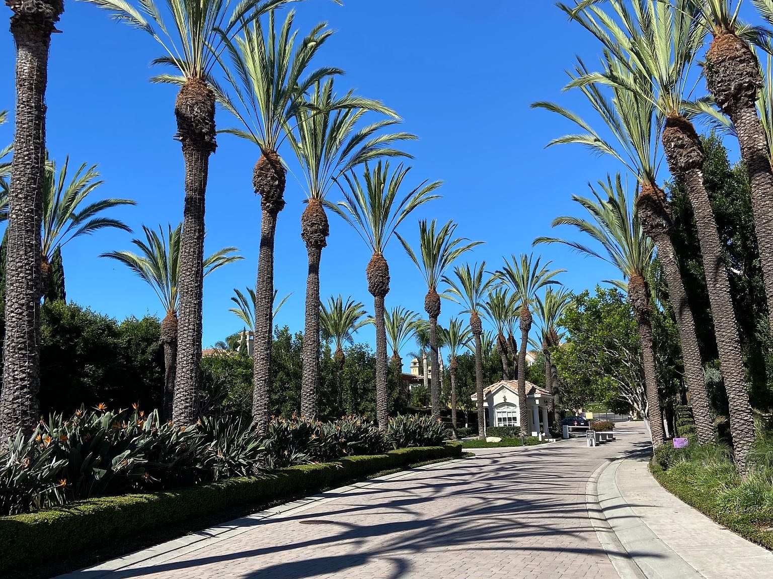 54 Corniche Dr UNIT F, Dana Point, CA 92629 Zillow