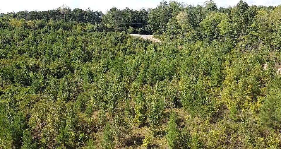 1st image of 2018 Ashcake Creek Rd