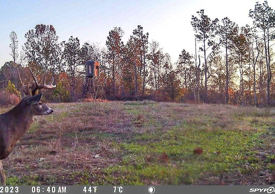 1st image of 0 McNabb Creek Rd