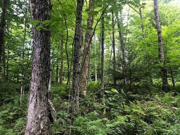 0 Jones Lane, Wolcott, VT 05680