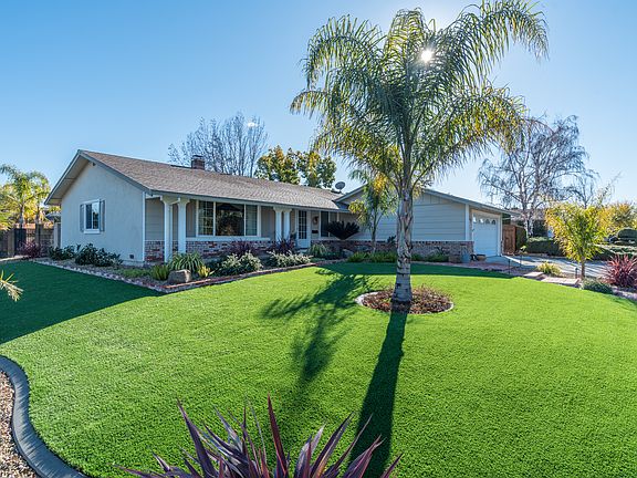 Low Maintenance Yard 