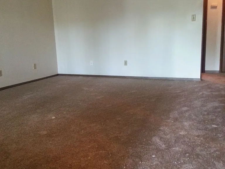 3831 Saint Paul Ave — Photo 5