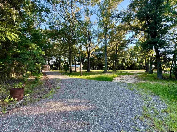 796 Vz County Road 4602, Ben Wheeler, TX 75754