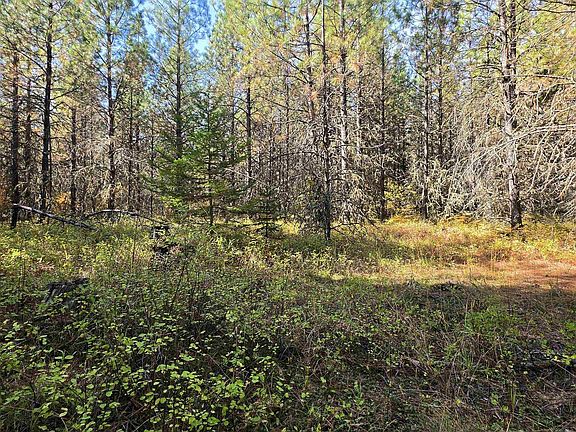 3rd image of 0 Timberline Hts Parcel 6