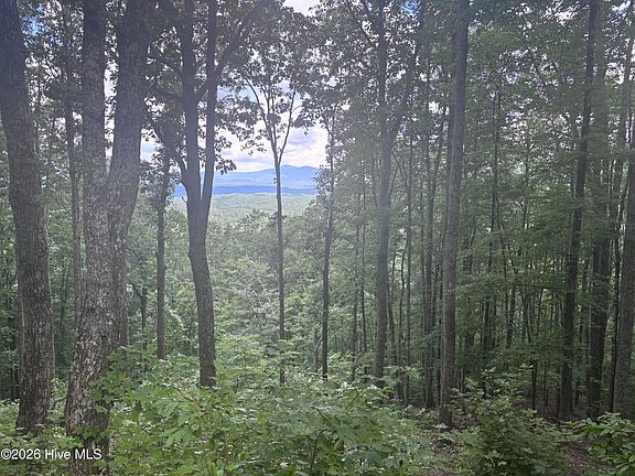 4th image of LOT 169 Wilderness Creek Way