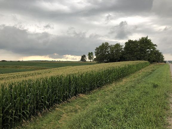 Looking north along 450th St.