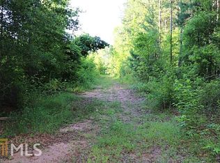 0 Gordon Rd Parcel #3, Senoia, GA 30276