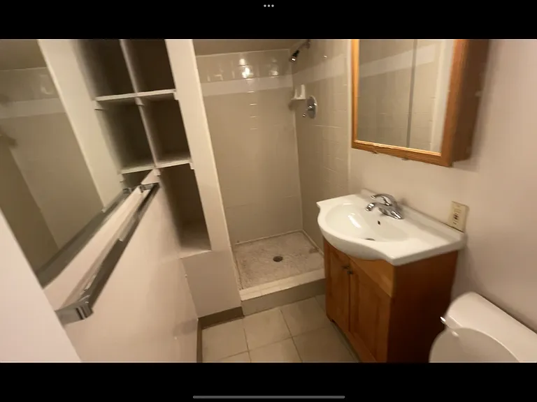 Basement Bathroom