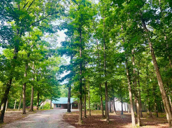 252 Mitchell Rd, Mountain View, AR 72560