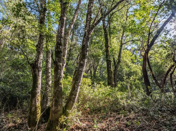 LOT 1 Desear Way, Felton, CA 95018