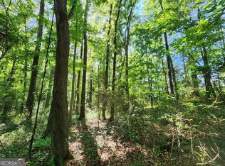 0 Russell Rd TRACT 2, Milner, GA 30257