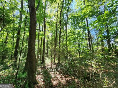 0 Russell Rd Tract 2, Milner, GA, 30257