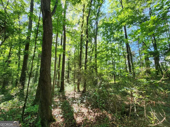 0 Russell Rd Tract 2, Milner, GA 30257