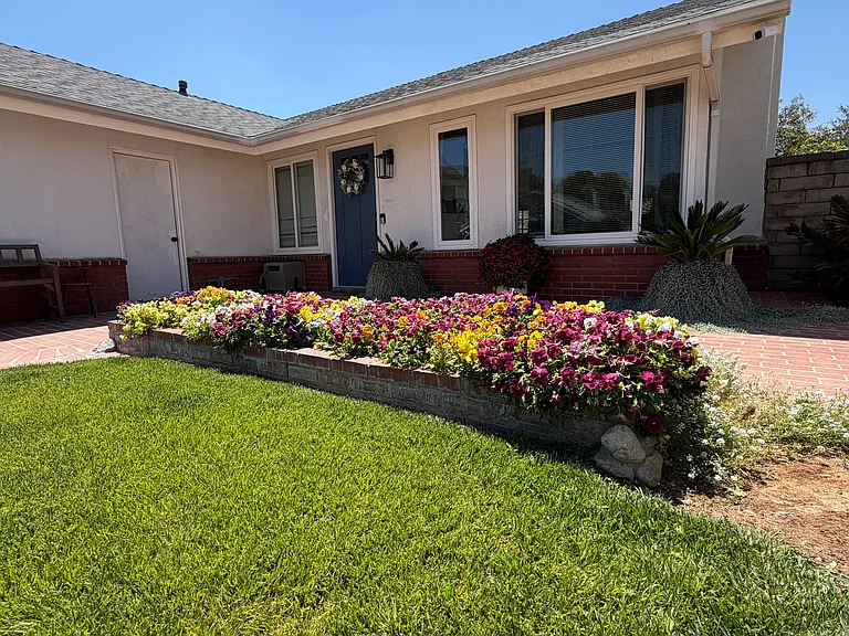 27525 N Pamplico Dr — Photo 4