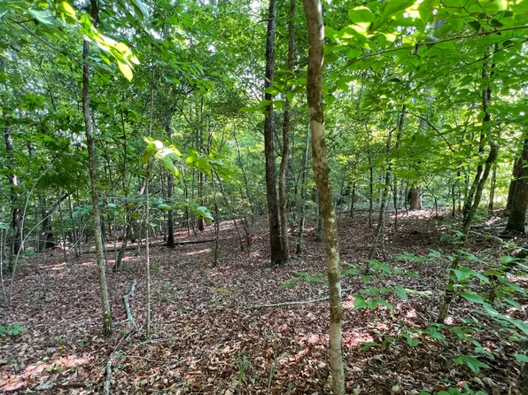 Alamo Trl, Morganton, GA 30560