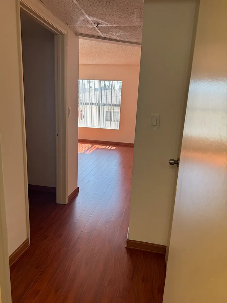 Alexandria Apartments — Photo 4