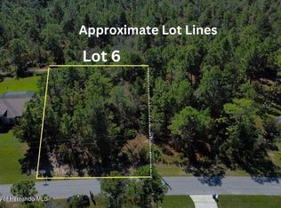 0 Flock Ave, Brooksville, FL 34613