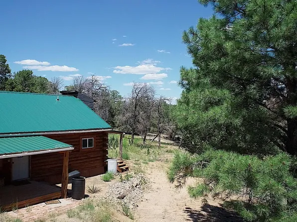 45 Private Drive 1717, Lindrith, NM 87029