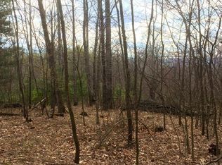 0 Chestnut Ridge Rd, Millboro, VA 24460