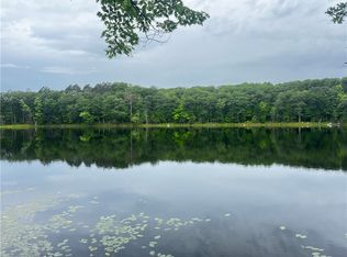 3091 N Forest Rd, Birchwood, WI 54817