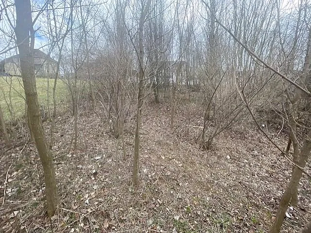 0 Long Meadow Rd photo 1