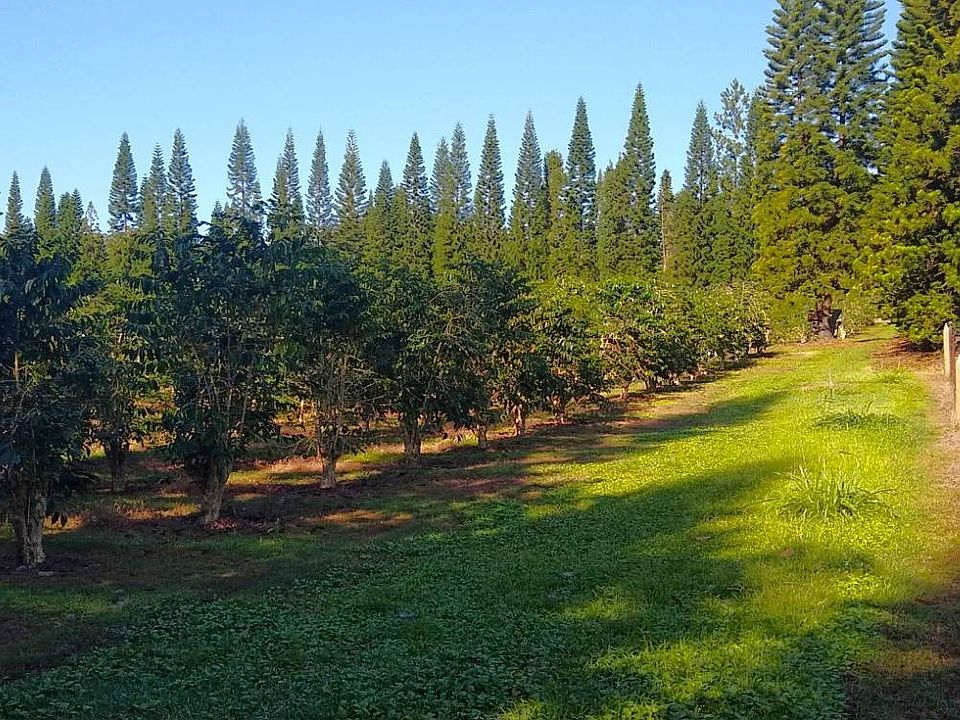 17 Moaula St, Pahala, HI 96777 Zillow