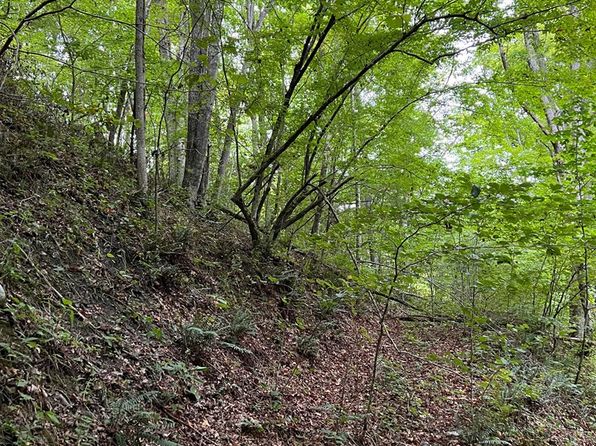 0 Lamar Rd, Matoaka, WV 24736