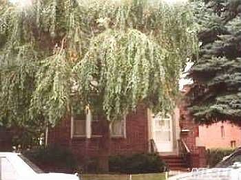 1st image of 6332 Bourton St