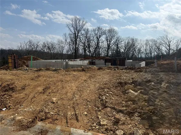 726 Blake Dr, Hillsboro, MO 63050