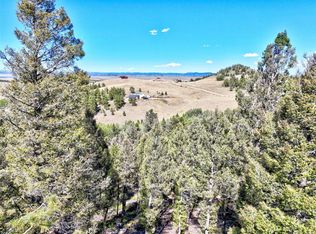 175 Blacksmith Rd, Hartsel, CO 80449